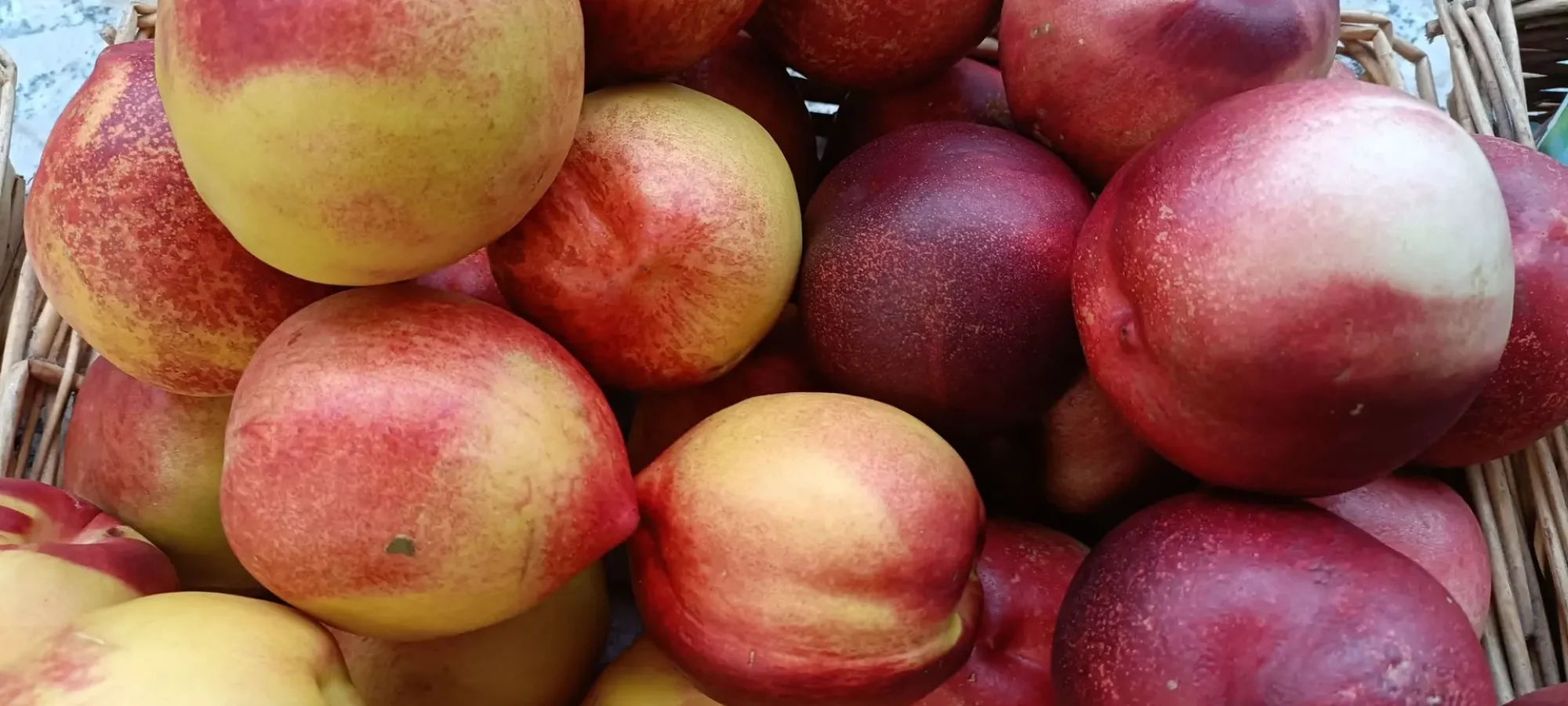 Fruta